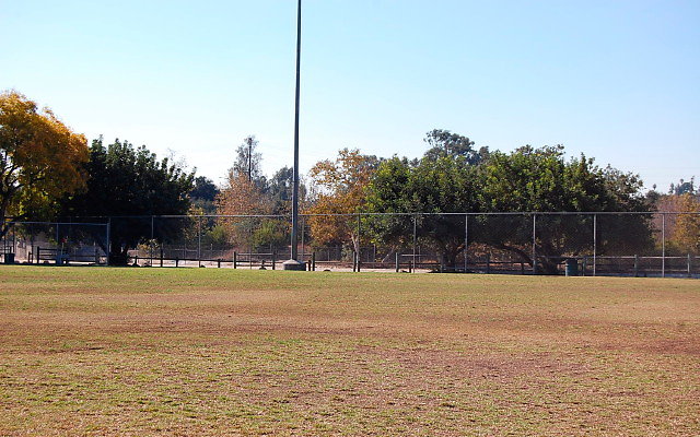 DSC 0196