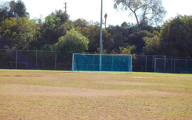 DSC 0206