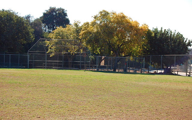 DSC 0207