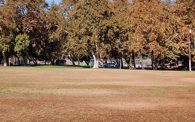 DSC 0203