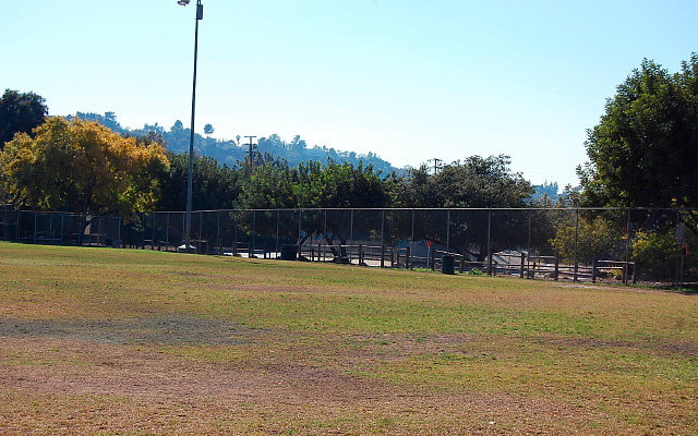 DSC 0222
