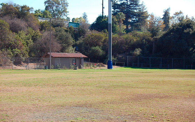 DSC 0220