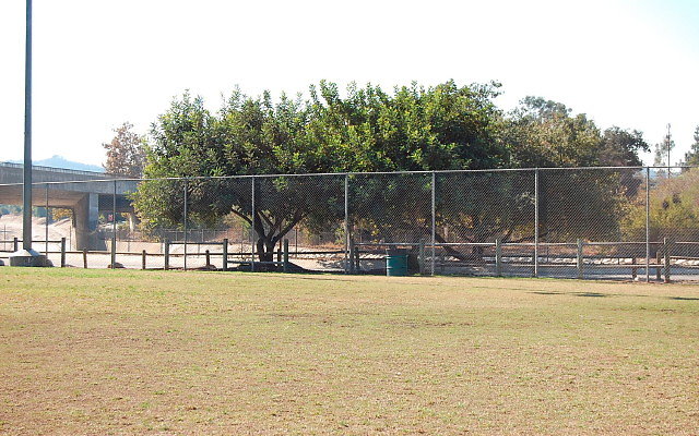 DSC 0208