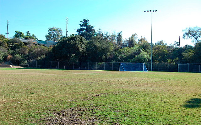 DSC 0189