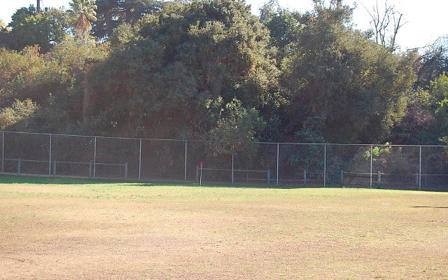 DSC 0205