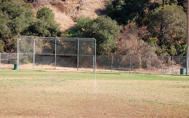 DSC 0215