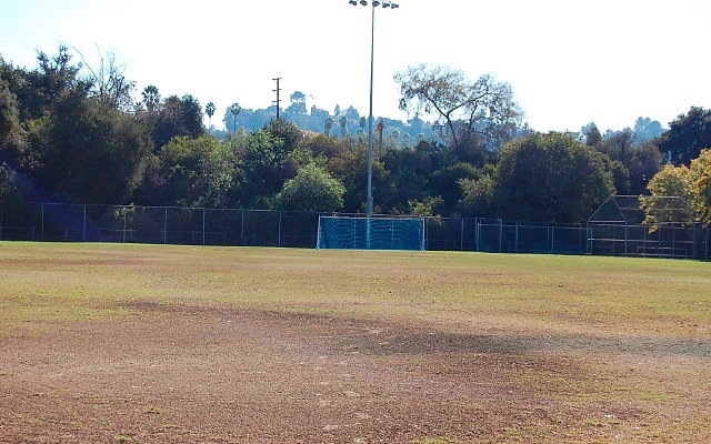 DSC 0221
