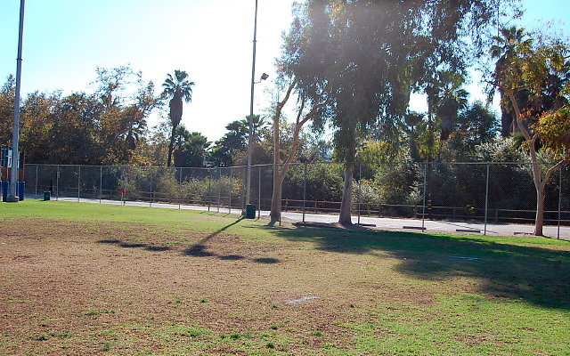 DSC 0158