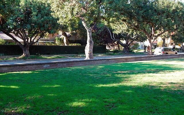 DSC 0263
