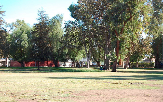DSC 0253