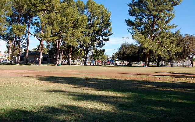 DSC 0238