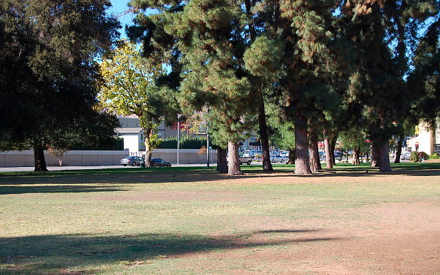 DSC 0259