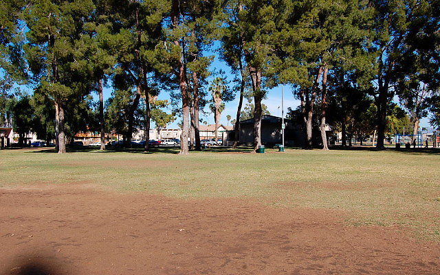DSC 0258
