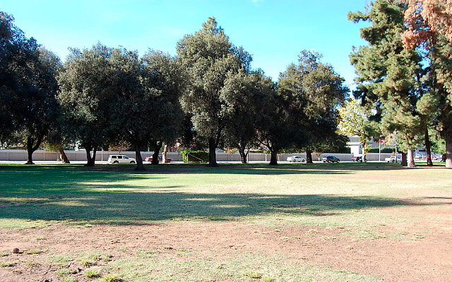DSC 0256