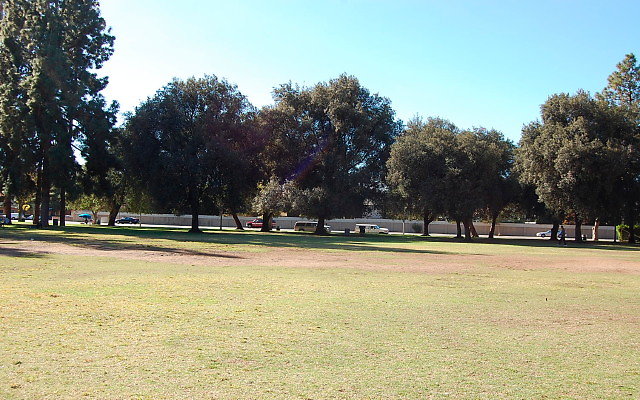 DSC 0245