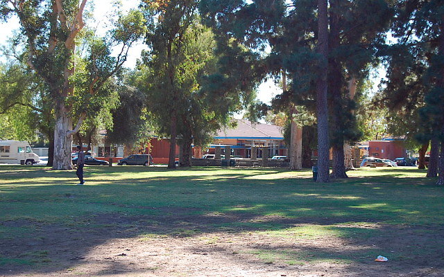 DSC 0255