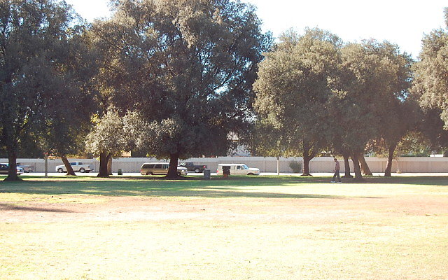 DSC 0248