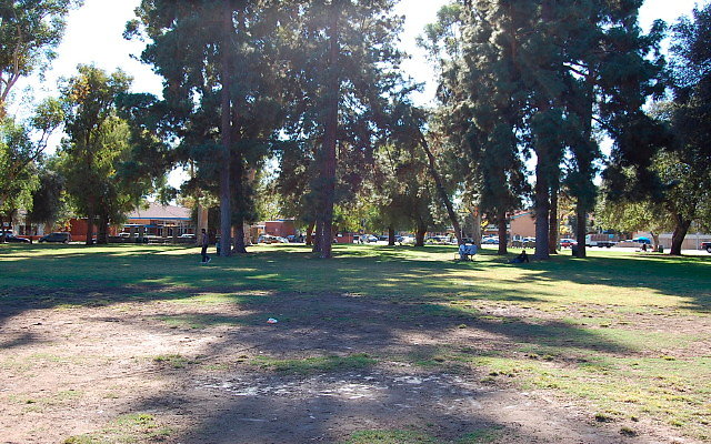 DSC 0252