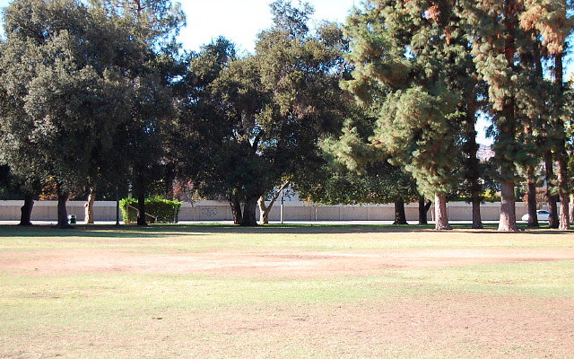 DSC 0249