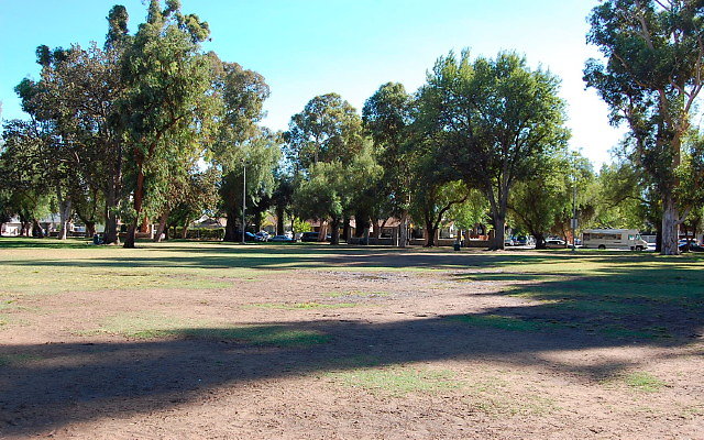 DSC 0251