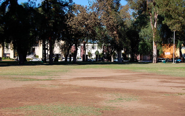 DSC 0260