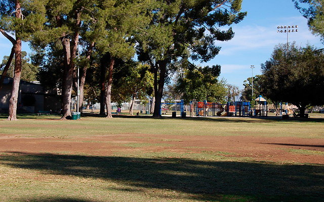 DSC 0241
