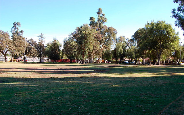 DSC 0239