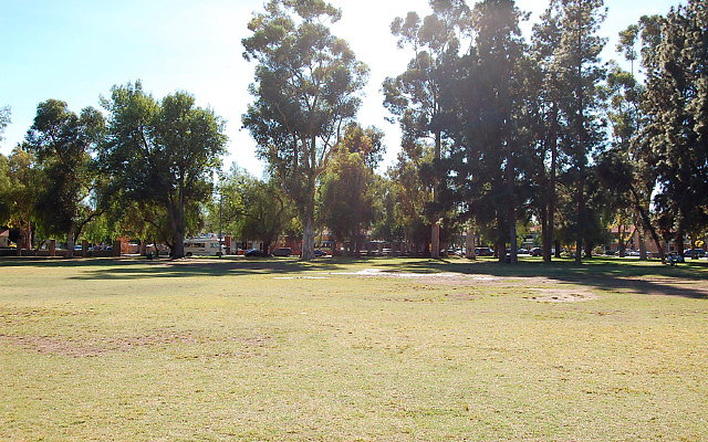 DSC 0244