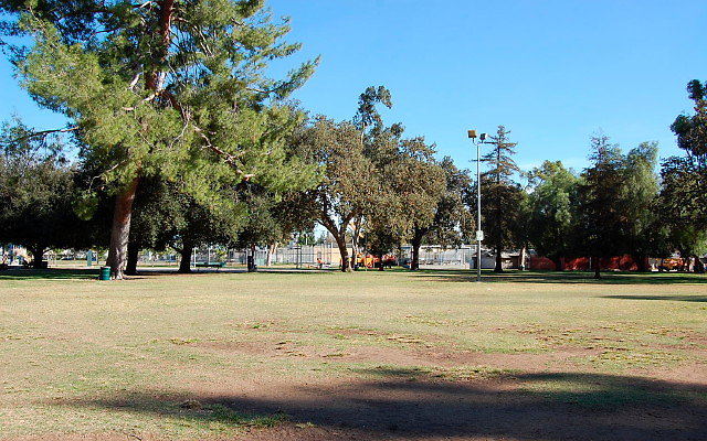 DSC 0250