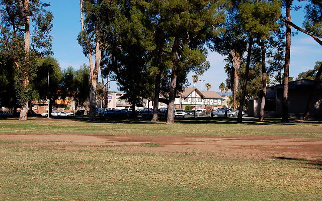 DSC 0240