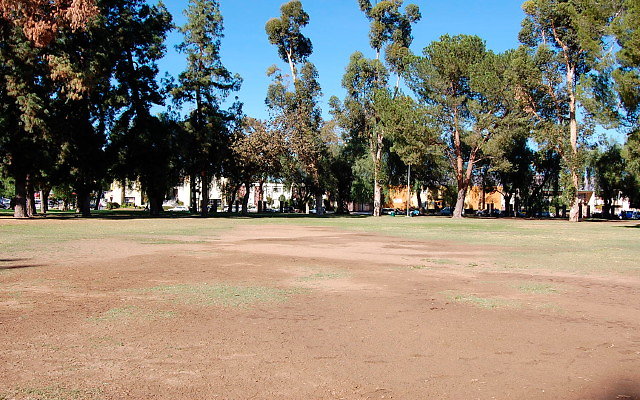 DSC 0257