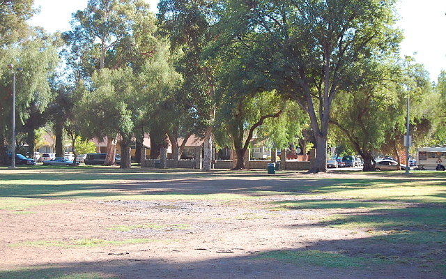 DSC 0254
