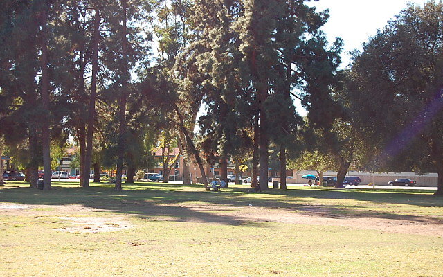 DSC 0247