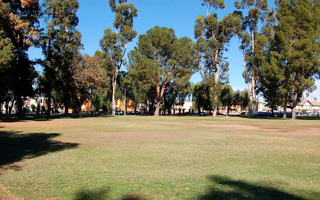 DSC 0237