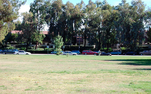 DSC 0013
