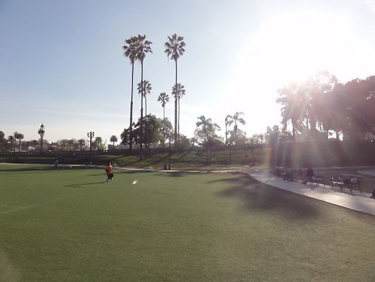 MacCarthur Park