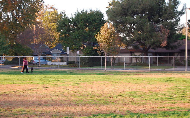 DSC 0460