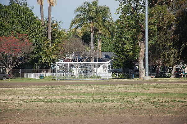 DSC 0050