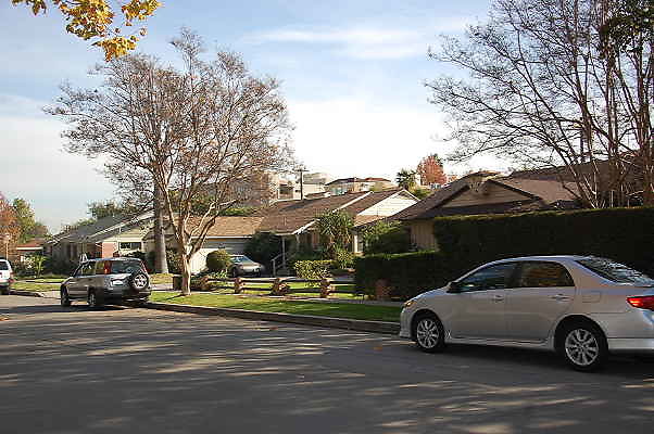DSC 0055