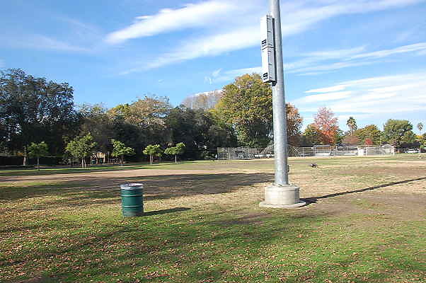 DSC 0042