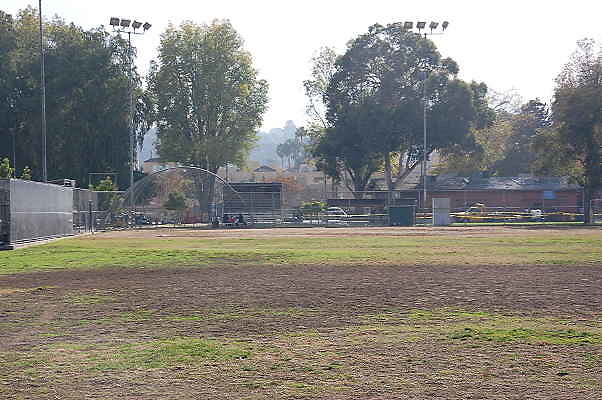 DSC 0010