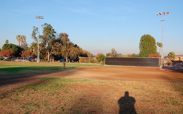 DSC 0446