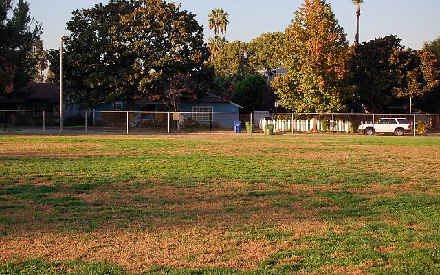 DSC 0452