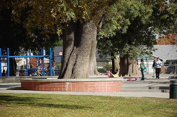 DSC 0061