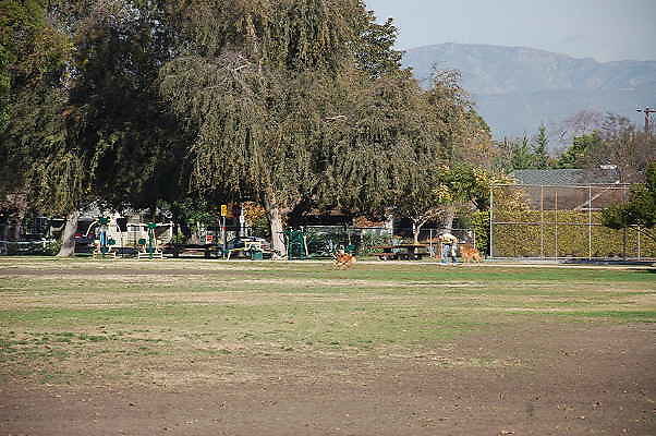 DSC 0051