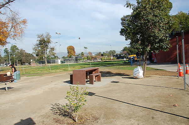 DSC 0036