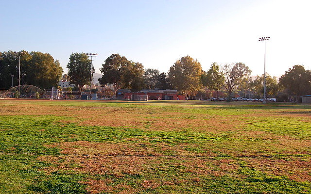 DSC 0439