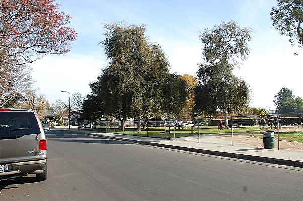DSC 0001