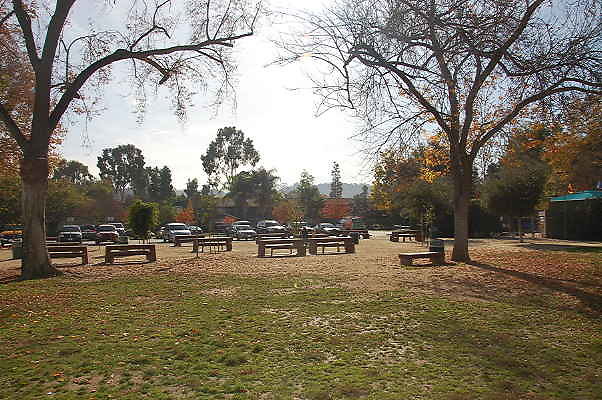 DSC 0023a