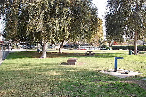 DSC 0004